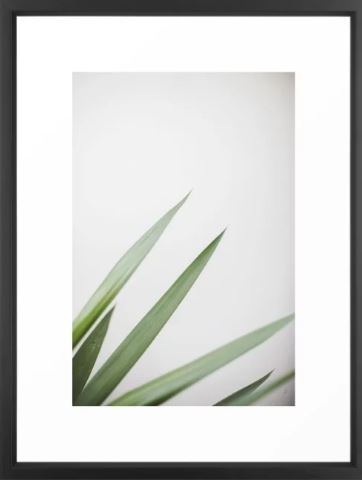 Plant Framed Art Print by Jovana Rikalo - 20 x 26 - Vector Black - Image 0
