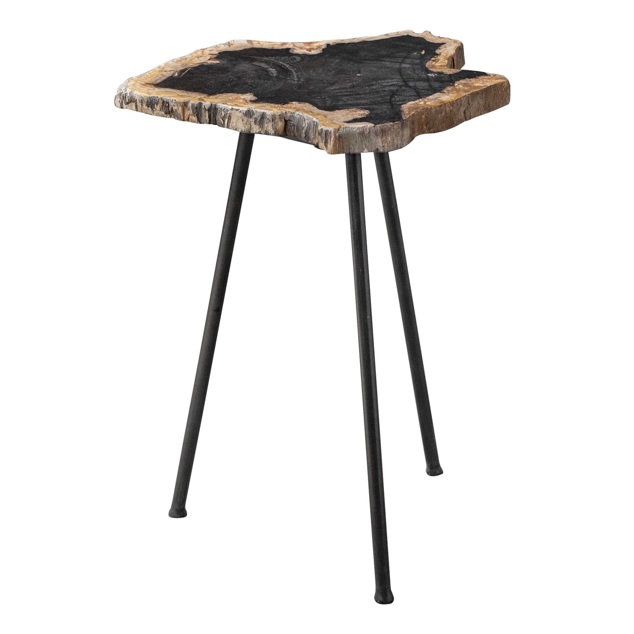 Mircea Petrified Wood Accent Table - Image 0