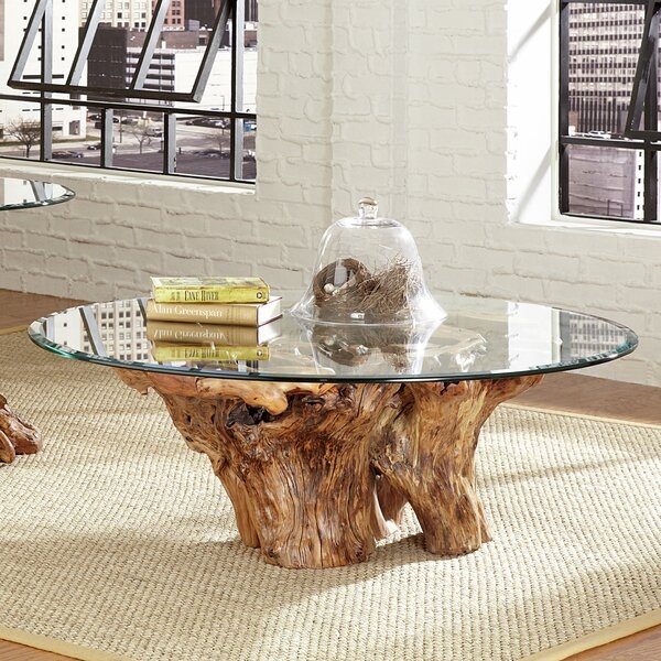 Winooski Root Ball Coffee Table - Image 0