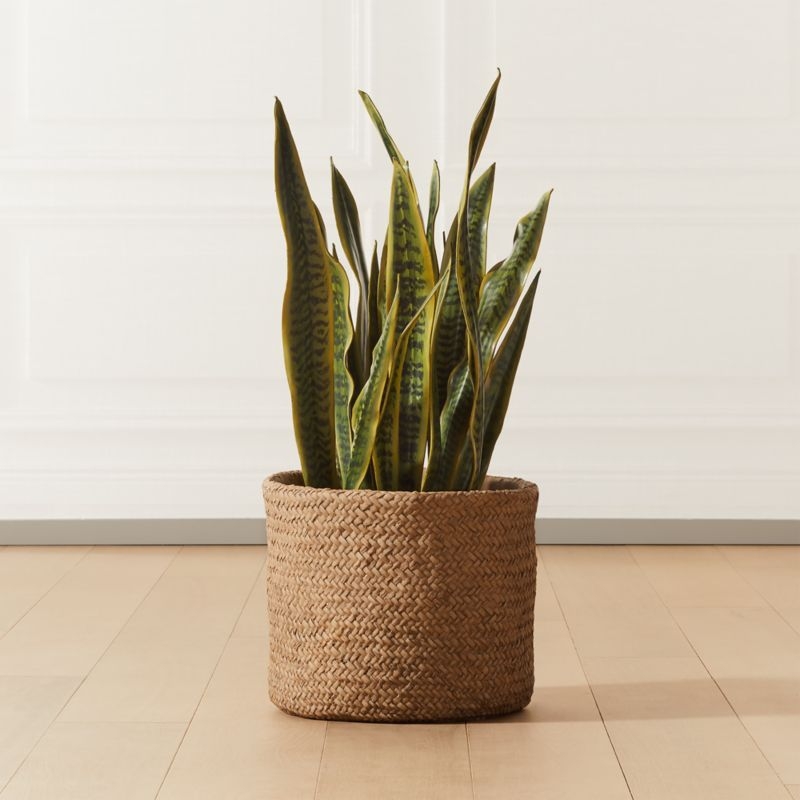 Faux Potted Snake Plant 3' - Image 1