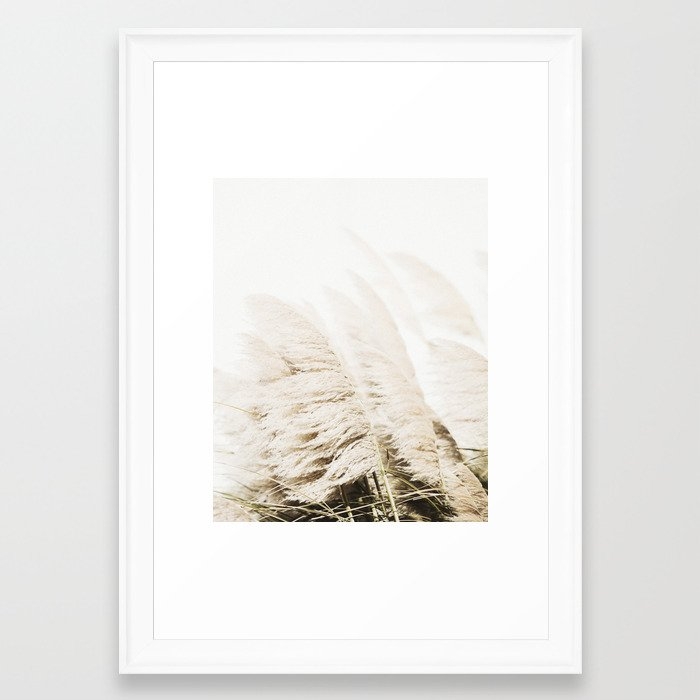 Pampas Grass Framed Art Print - Image 0