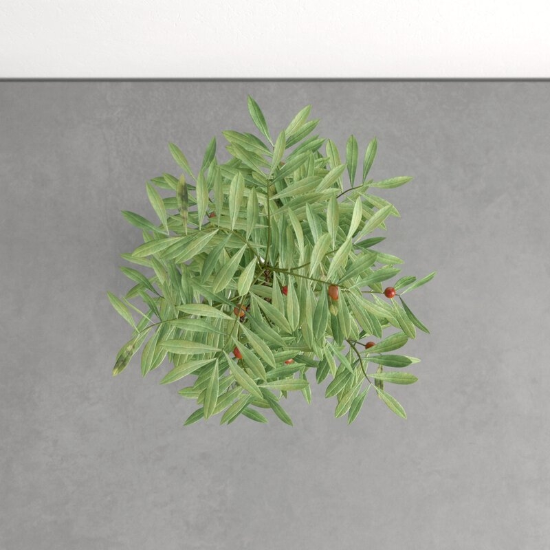 Artificial Green Olive Floor Ficus Tree in Pot - Image 2
