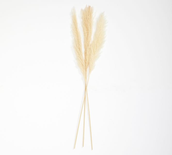 Dried Pampas Grass Branches, Natural, Set of 3 - Image 0