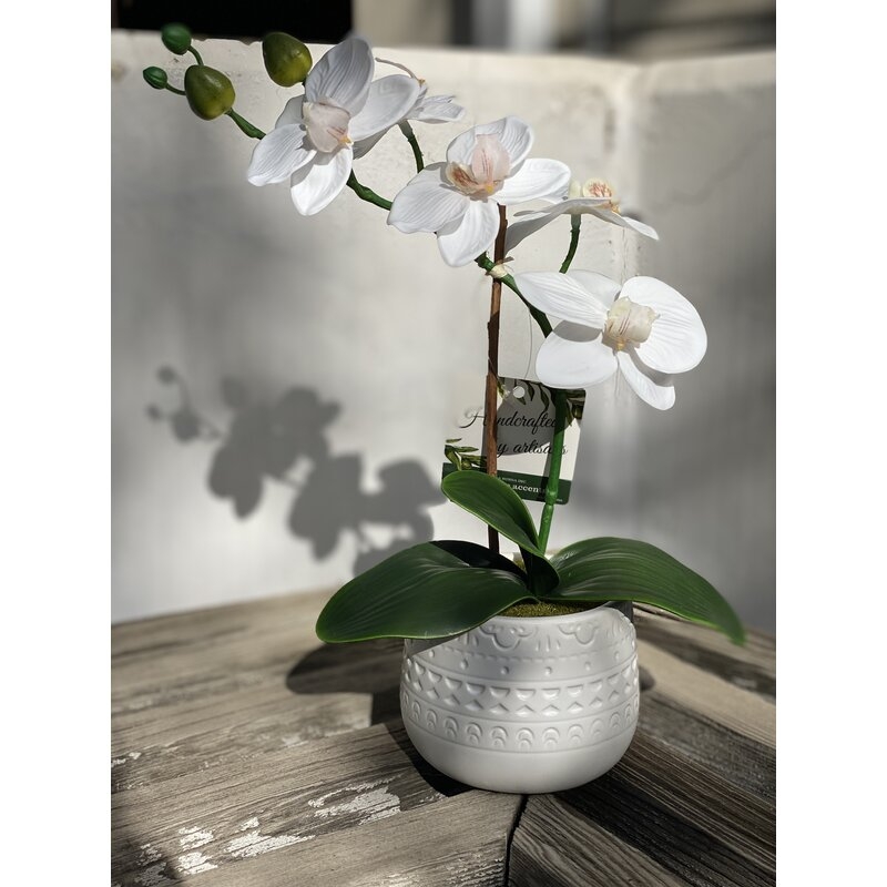 Orchids Centerpiece in Planter - Image 1