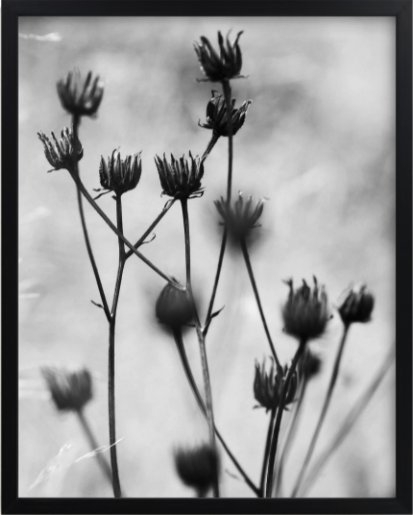 Autumn Detail Limited Edition Fine Art Print 1 - Image 0