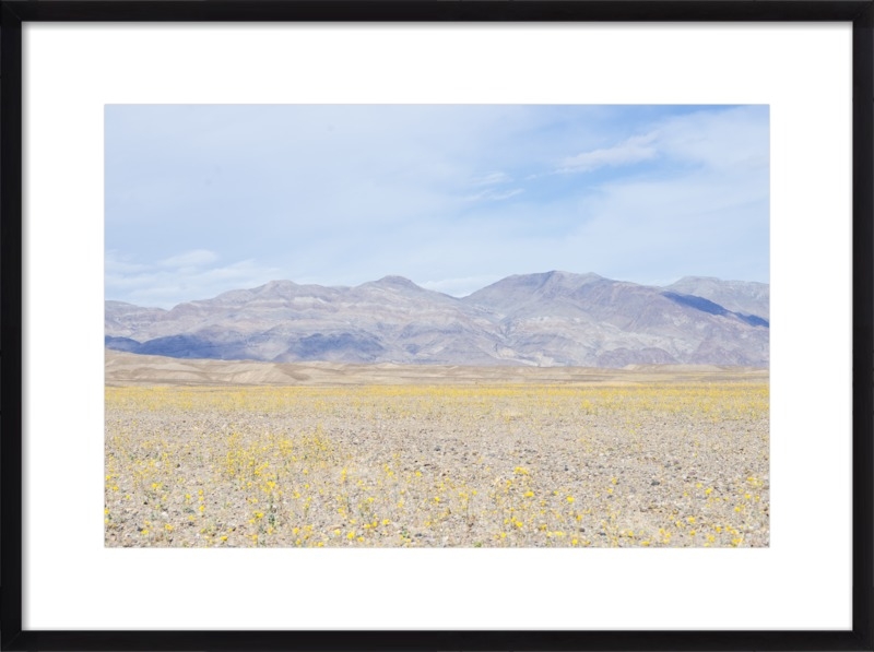 Death Valley Super Bloom 28x20 Black Wood Frame - Image 0