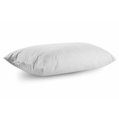 Edinburgh Cotton Lumbar Pillow - Image 0