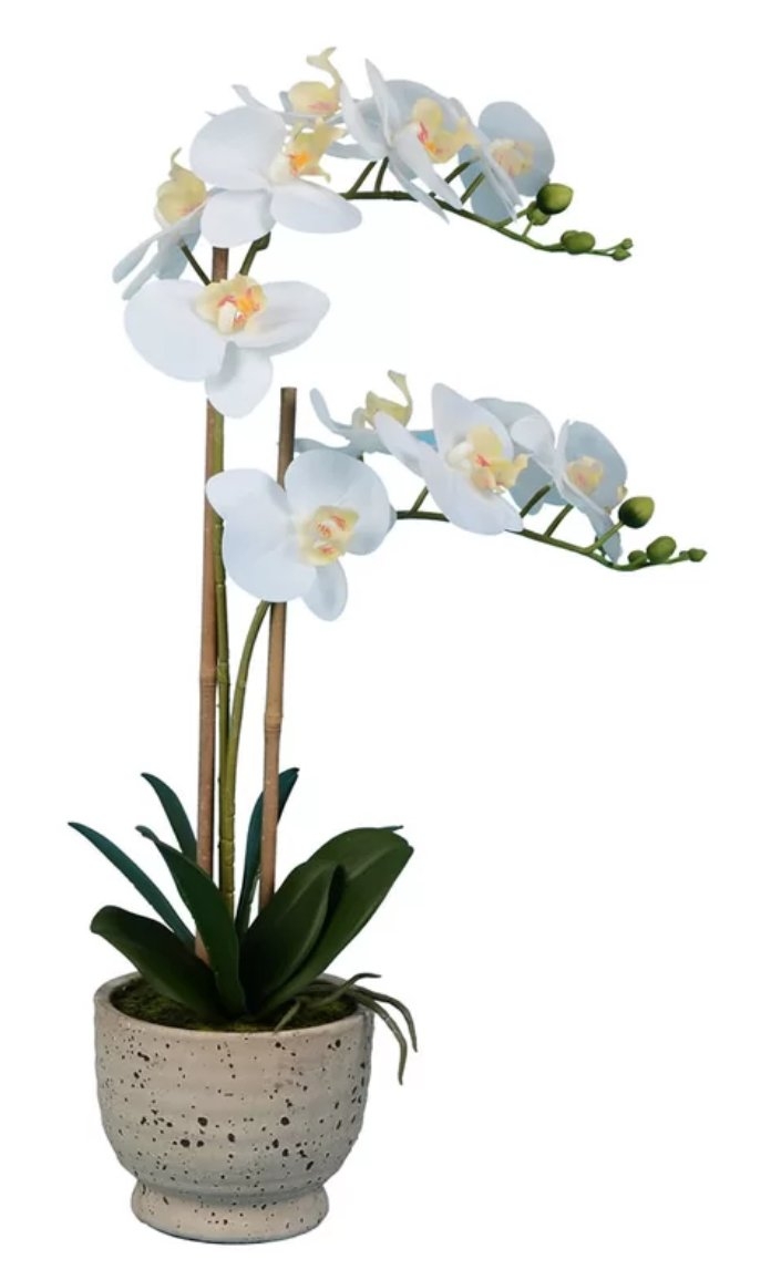 Artificial Phalaenopsis Floral Arrangement in Pot - Image 0