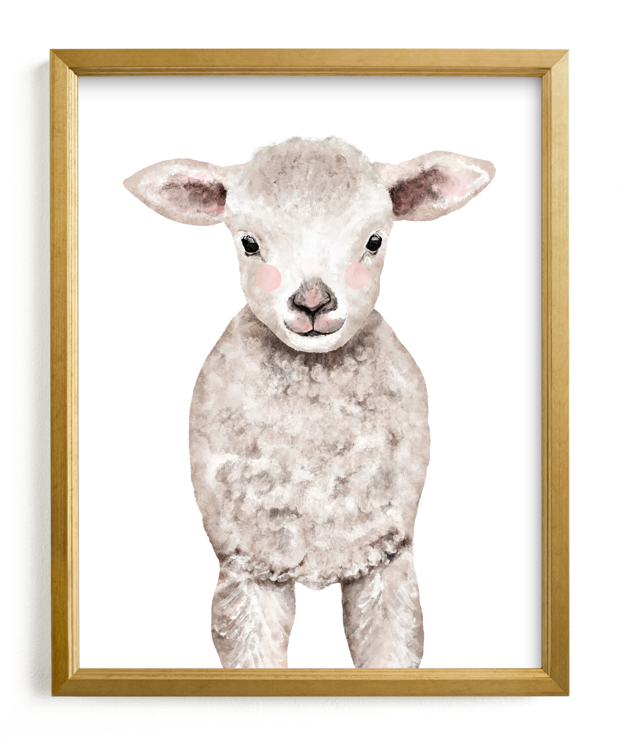 Baby Animal Sheep - Image 0