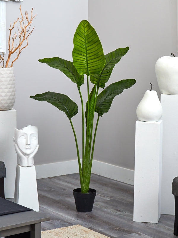 64” Travelers Palm Tree UV Resistant (Indoor/Outdoor) - Image 0