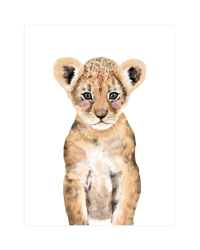 Baby Animal Lion unframed 8 x 10 - Image 0
