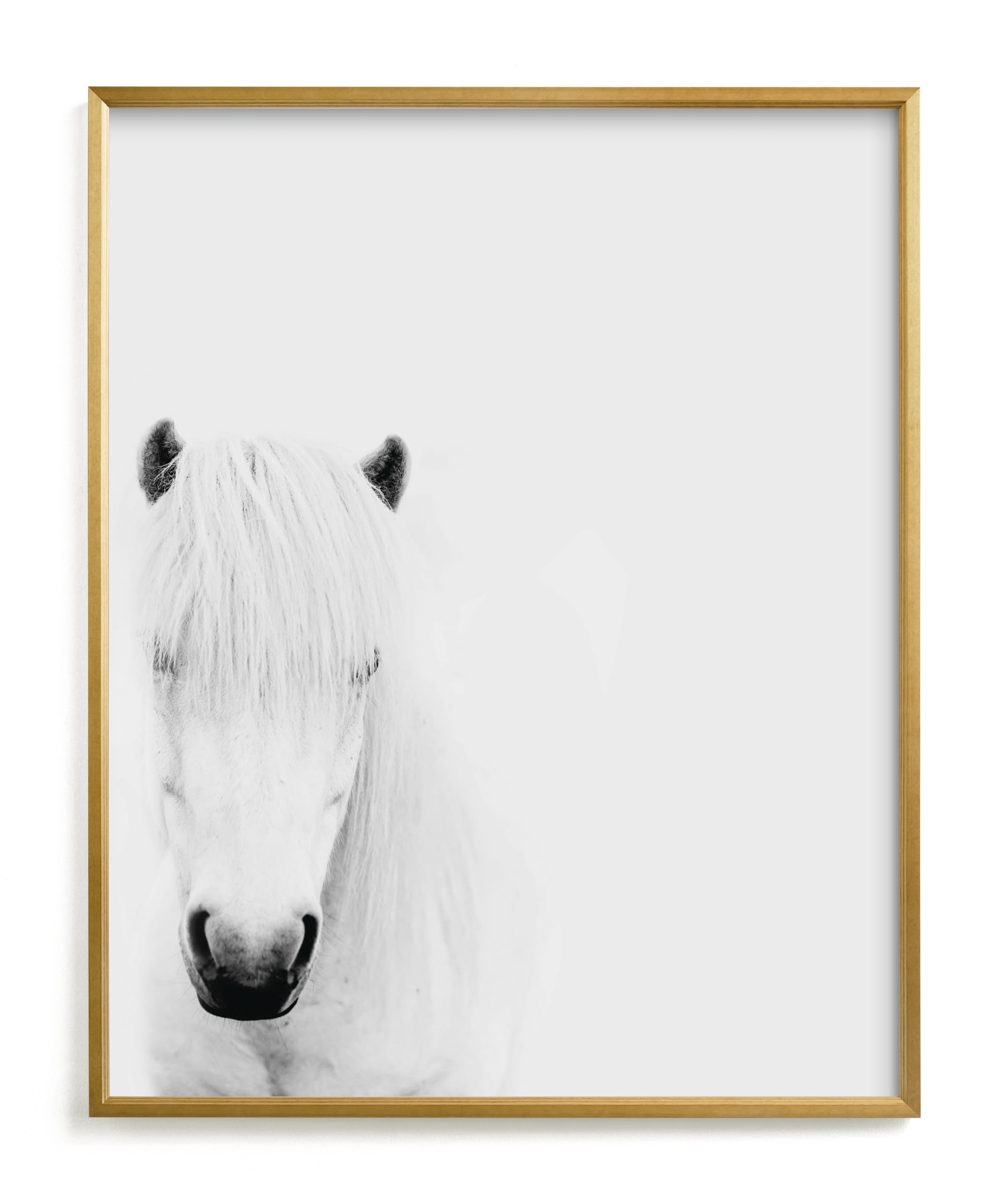 Dalla Framed White Horse - Image 0