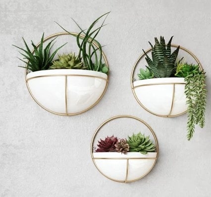 Isley Round Metal Modern Indoor Wall Planter Set - Image 0