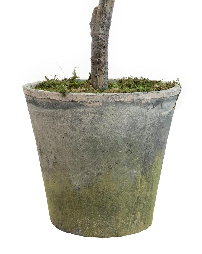 FAUX POTTED OLIVE TREE, 69" - Image 3