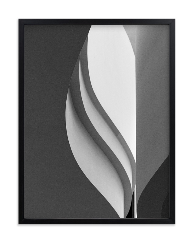 Tulip- Black and White - Image 0