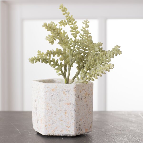 Waltman Mini Flower 4-Piece Cement Pot Planter Set - Image 0