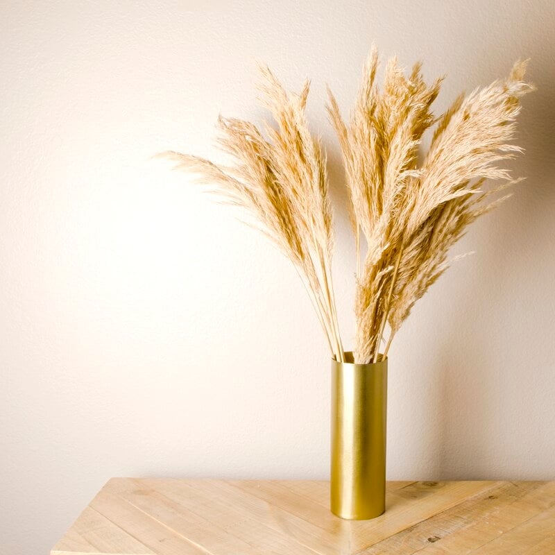 Real Dried Decor Plumes Pampas Grass Spray (Set of 96) - Image 0
