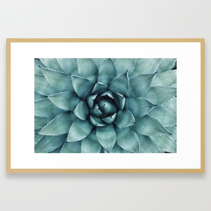 Aloe Green Agave Framed Art Print by Chilling Nation - Image 0