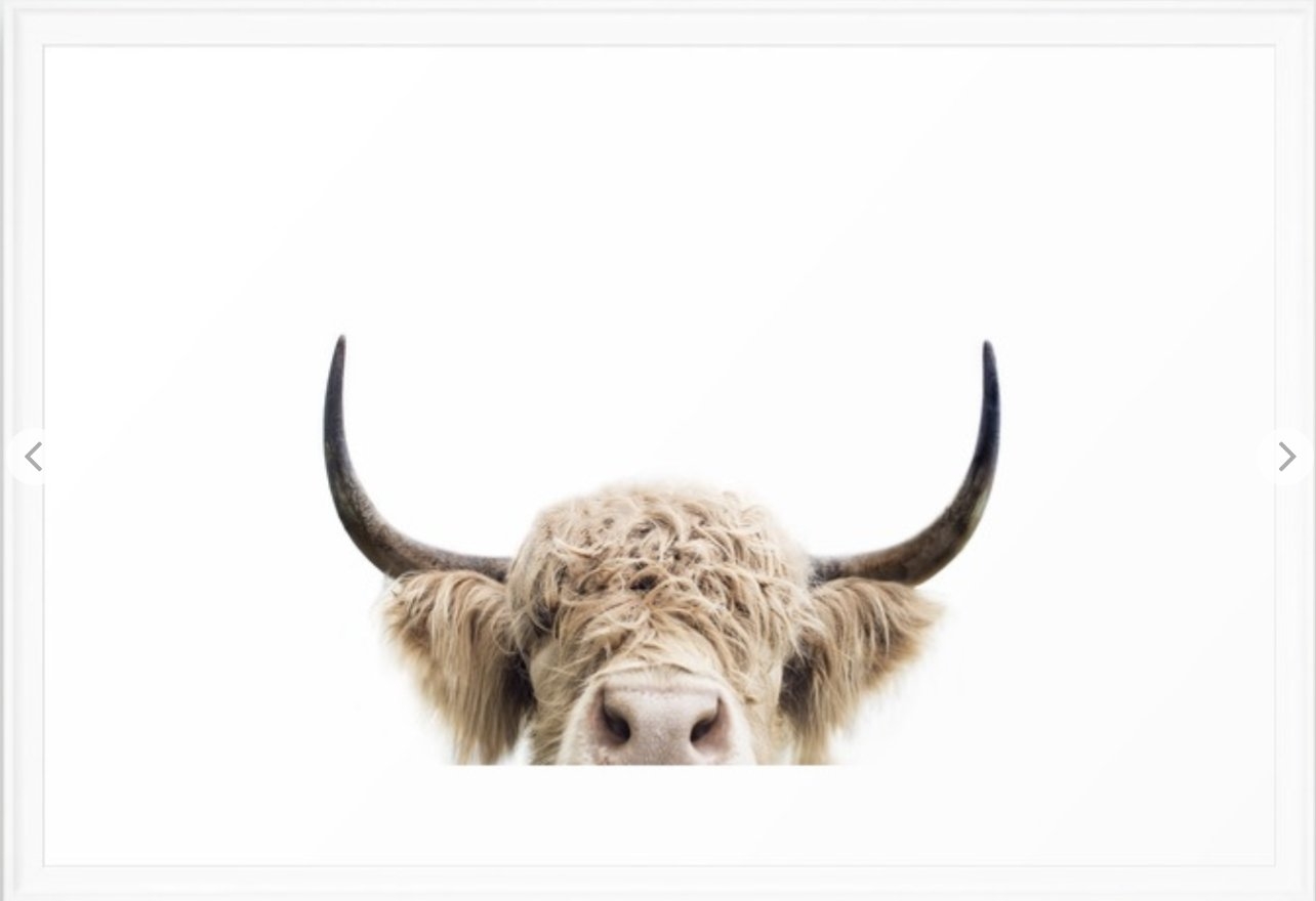 Peeking Highland Cow Framed Art Print - Image 0