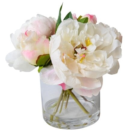 Fresh Cut Peony Floral Arrangements in Jar Flower Color: Cream - Image 0