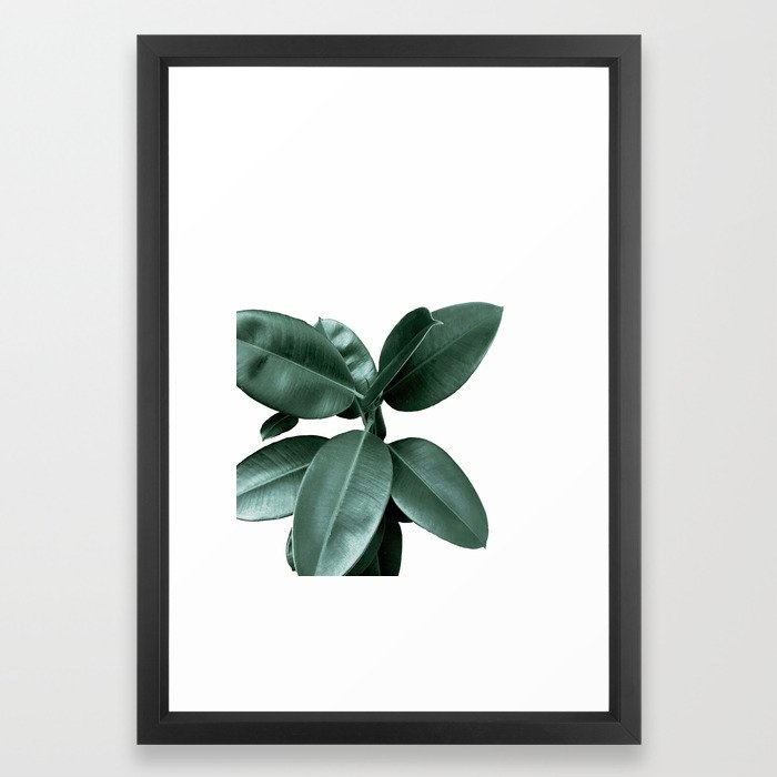 Rubber fig Plant Framed Art Print, vector black frame, 15"x21" - Image 0