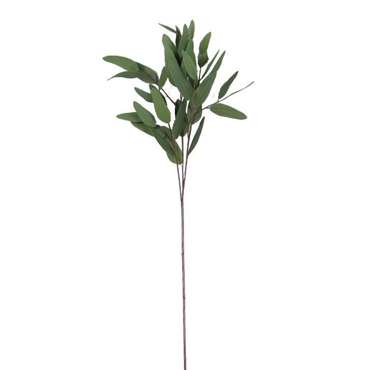 Artificial Eucalyptus Long Oval Leaf Stem - Image 0