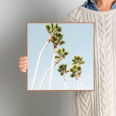 Beach Palms - Picture Frame Photograph Print on Paper - Image 0
