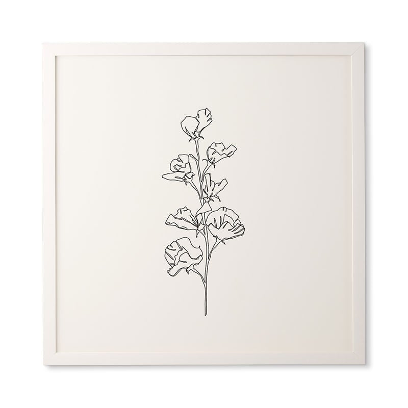FRAMED WALL ART COTTON FLOWER ILLUSTRATION  BY THE COLOUR STUDY - Image 0