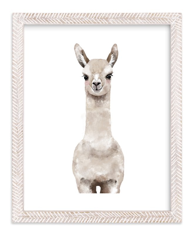 baby animal llama - Image 0