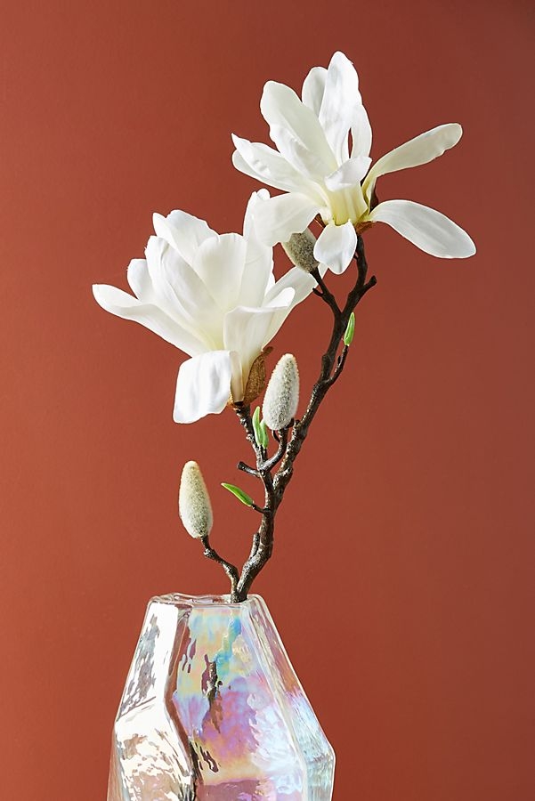 Magnolia Stem - Image 1