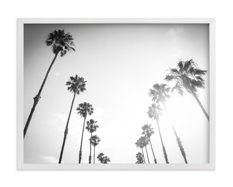 California Palms - Image 0