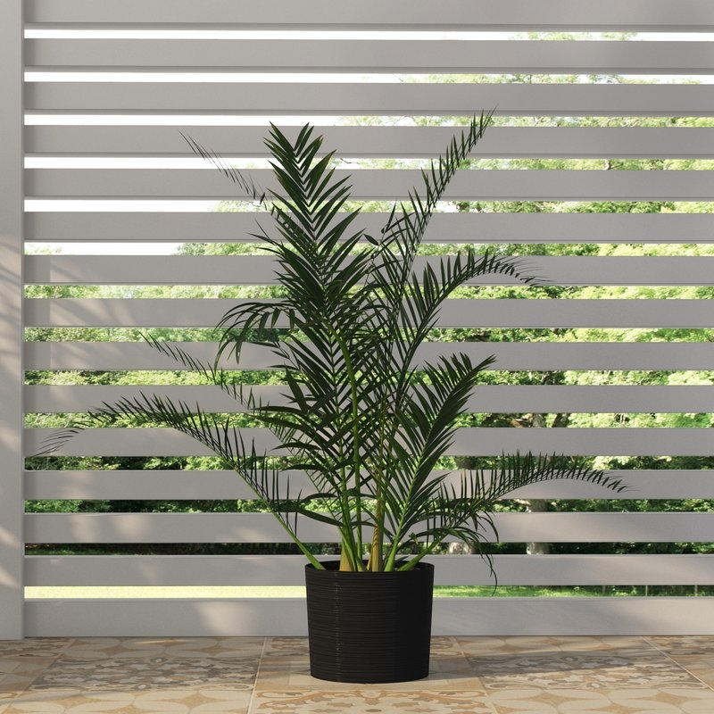 Areca Palm Tree Floor Plant in Pot - Image 1