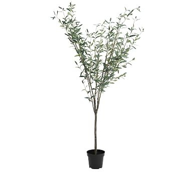 Faux Potted Olive Tree, Large - 71" - Image 1