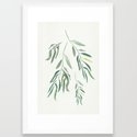 Eucalyptus Branches II Framed Art Print // Large 26x38" // Scoop White frame - Image 1