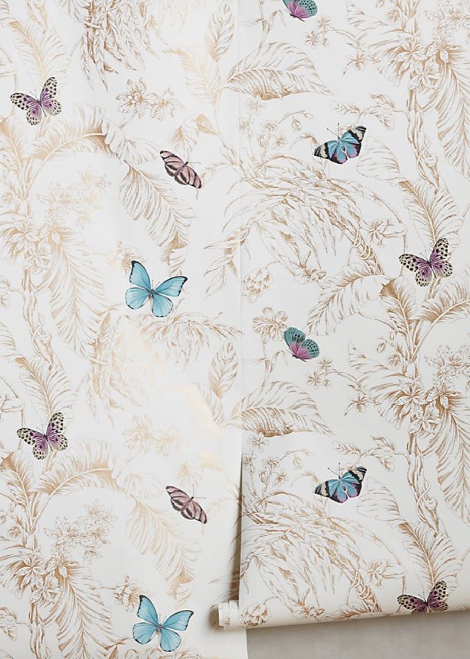 Papillon Wallpaper - Image 0