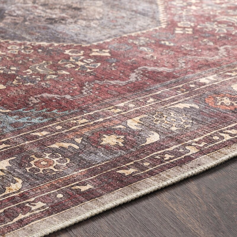 Mya Distressed Traditional Handwoven Red/Brown Area Rug - Image 4