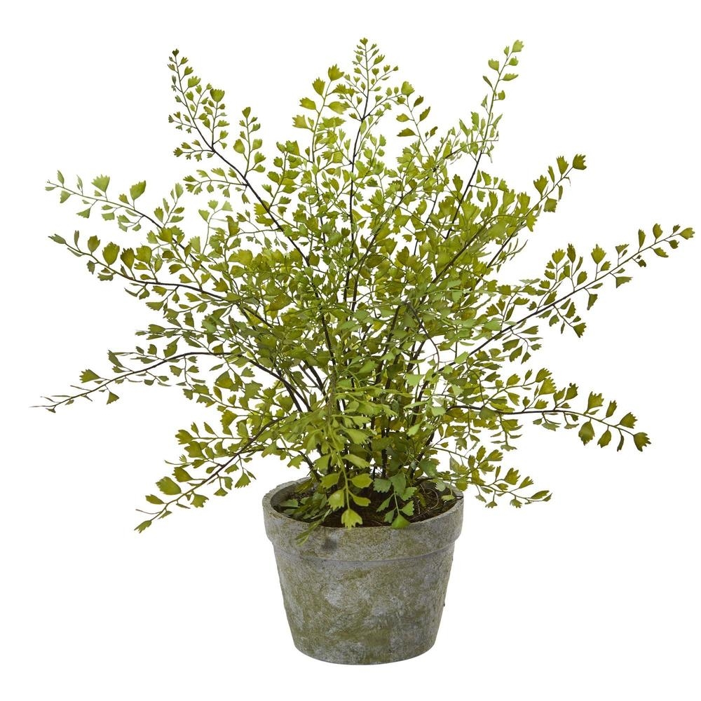 Maiden Hair Artificial Plant in Decorative Planter - Image 0