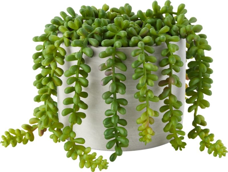 Faux Potted Burro's Tail - Image 3