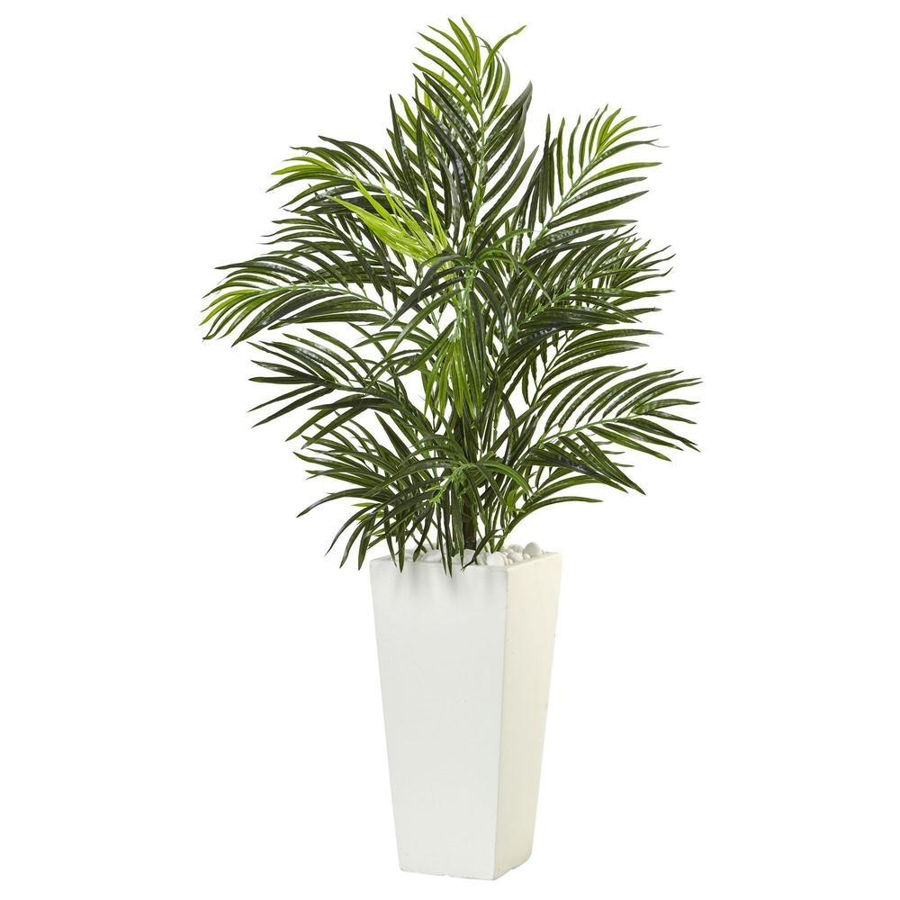 Areca Palm in White Square Planter - Image 0