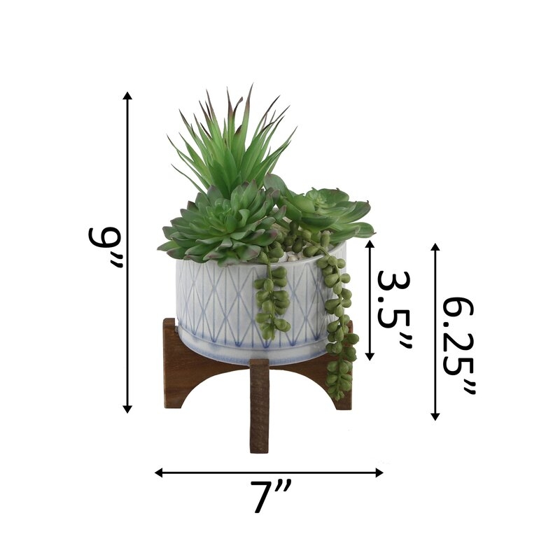 Agave Succulent in Planter - Image 2