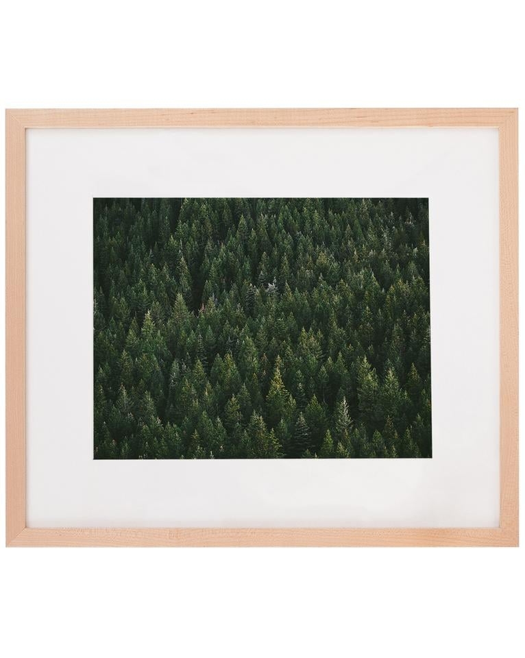 EVERGREEN Art with Marin Frame - 11" H x 14" W - Image 0
