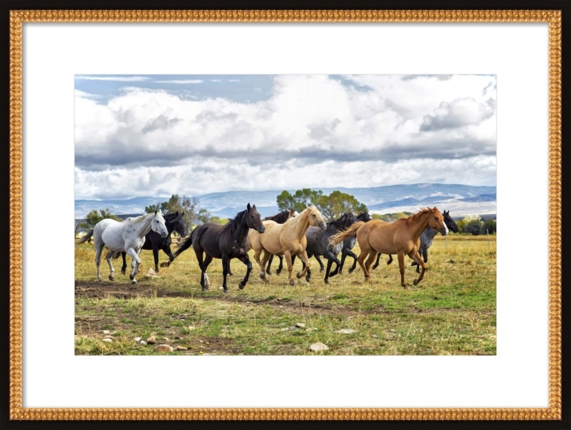 Colorful Horses - Image 0