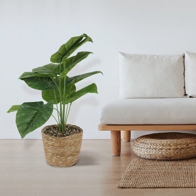 12" Artificial Foliage Plant in Basket - Image 0