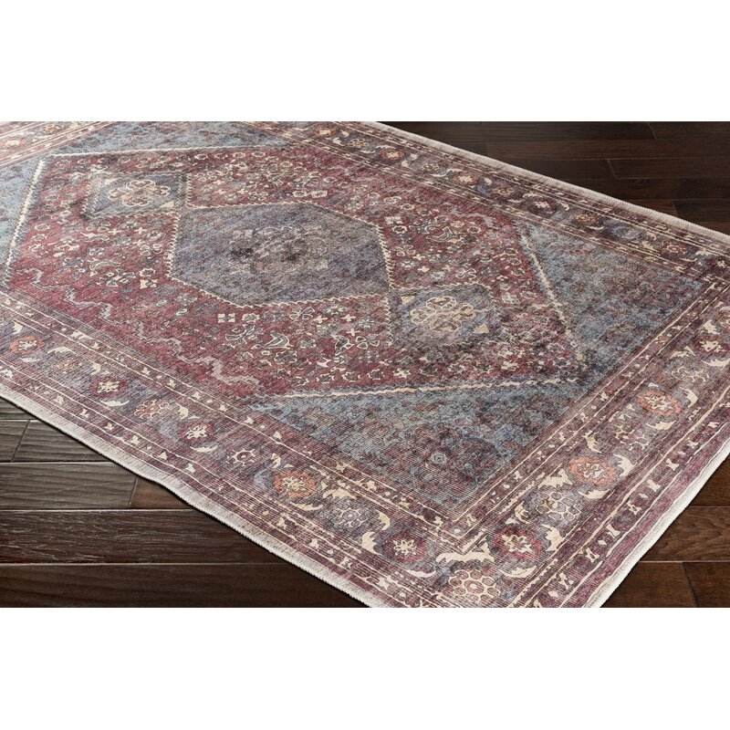 Mya Distressed Traditional Handwoven Red/Brown Area Rug - Image 3
