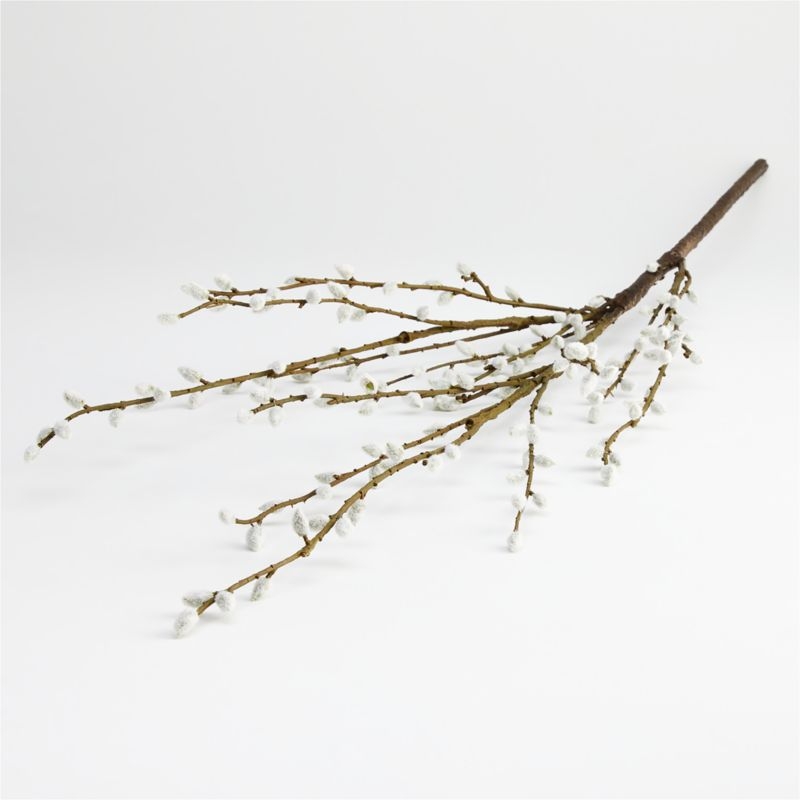Pussy Willow Spray - Image 1