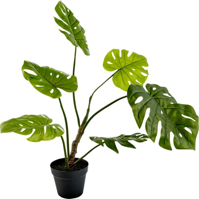 Faux Potted Monstera Plant - Image 0