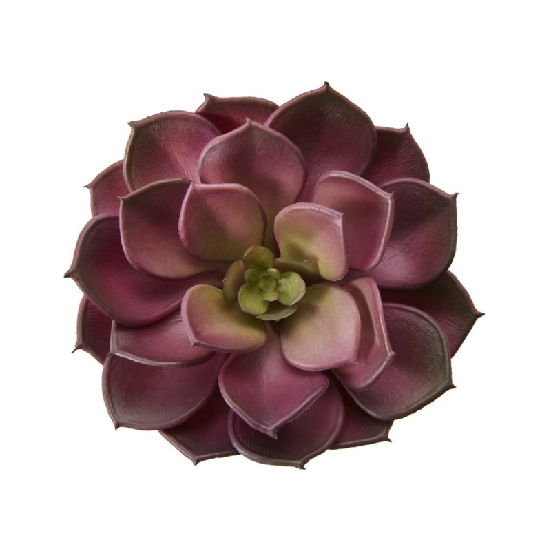 Artificial Echeveria Burgundy Succulent Stem - Image 3