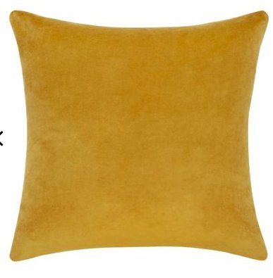 Charlotte Velvet Pillow with insert - Image 0