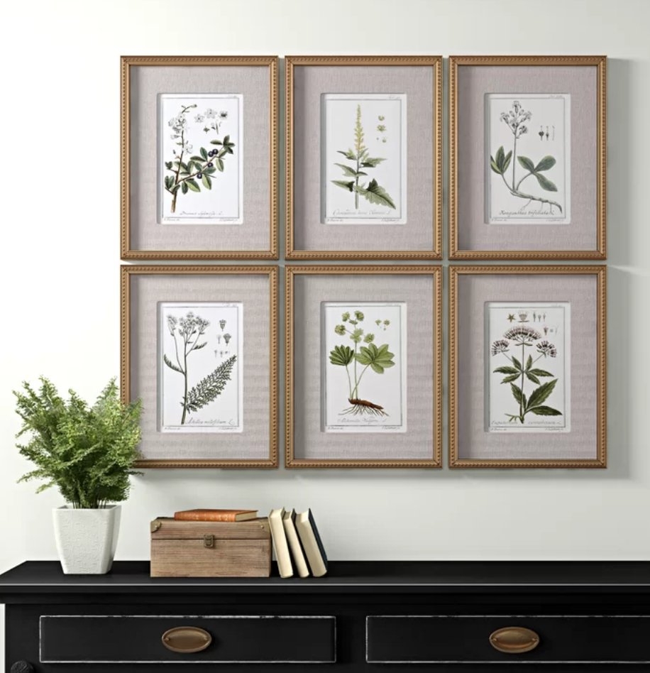'Botanical Sketches' Picture Frame Graphic Art Set - Image 0
