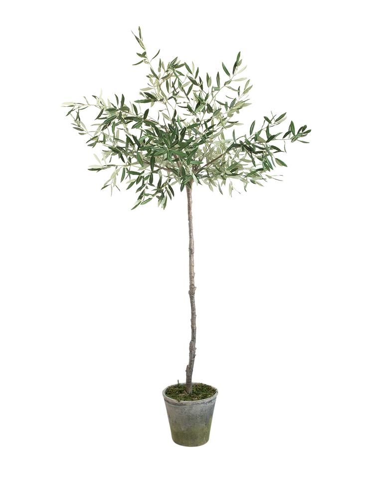 FAUX POTTED OLIVE TREE, 69" - Image 0